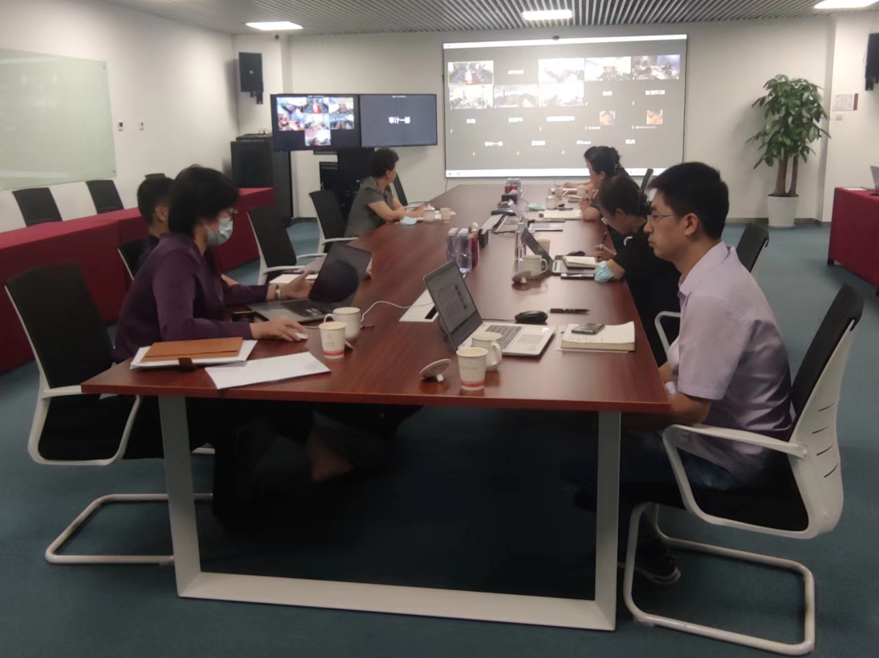 ǿʱЧ ƶƶȽ衪 ǿռżڲרƶѵ